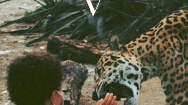 Unknown Mortal Orchestra - V (Jagjaguwar, 2023) - Recensioni Rock