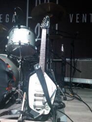 The Fuzztones Live A Poggibonsi (Si)