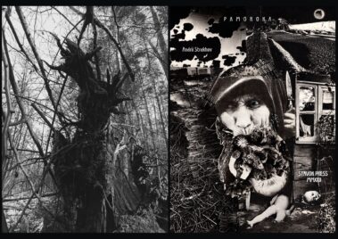 Andrii Strakhov 306957278 504349628364230 1022623953734889042 N 1 Andrii Strakhov 306957278 504349628364230 1022623953734889042 N 1