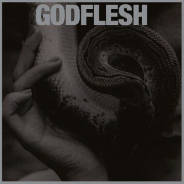 Godflesh - Purge - Recensioni Metal