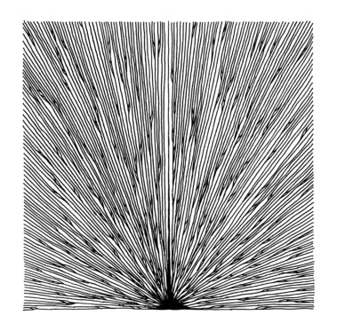 Wojtek Petricore - Flames Don’t Judge - Recensioni Rock