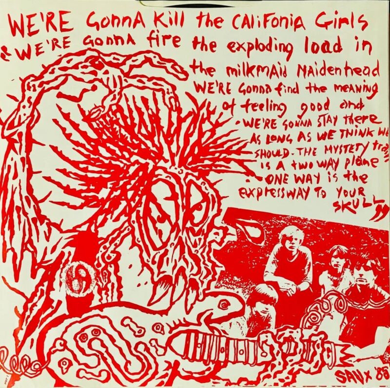 Sonic Youth - Walls Have Ears