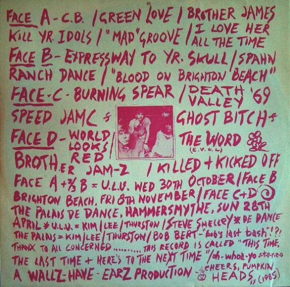 Sonic Youth - Walls Have Ears