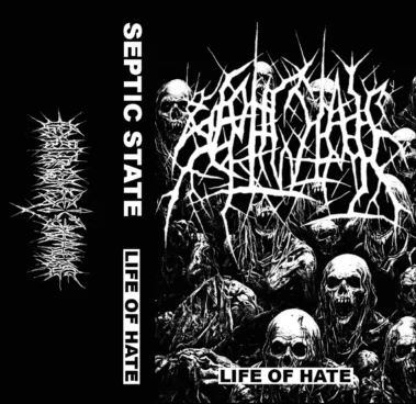 septic state