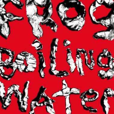 DIIV - FROG IN BOLING WATER - Recensioni Rock