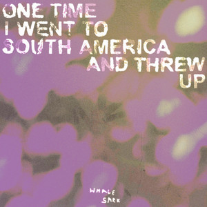 Whale Sark - One Time I Went to South America and Threw Up