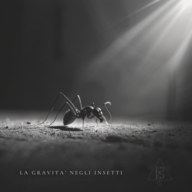 In Your Eyes Ezine La Gravita Negli Insetti 2 In Your Eyes Ezine La Gravita Negli Insetti 2