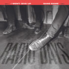 I Radio Days e quella strana cosa che è il Power-Pop