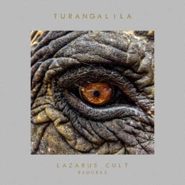 In Your Eyes Ezine Lazarus In Your Eyes Ezine Lazarus