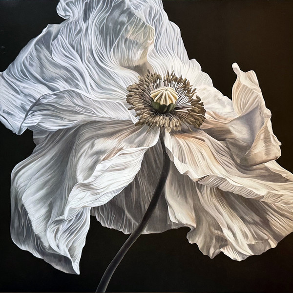 Cover of Bring on the Psychics by Quicksand: a painted white poppy in full bloom against a black background