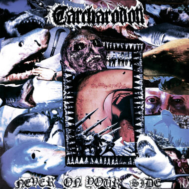 In Your Eyes Ezine Carcharodon – Never On Your Side