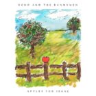 Echo & The Bunnymen Apples For Isaac